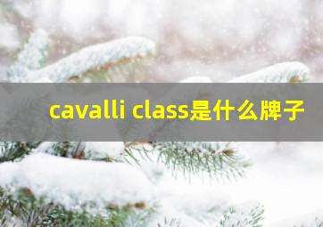 cavalli class是什么牌子